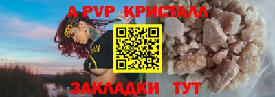 кокс Кингисепп