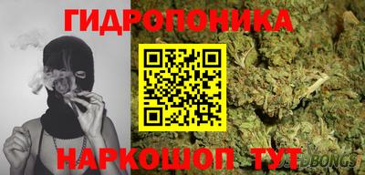 кокс Кингисепп