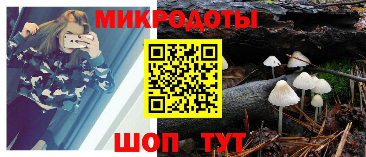 Куйбышев  купить наркотик  Вход с VPN  Псилоцибиновые грибы MAGIC MUSHROOMS 