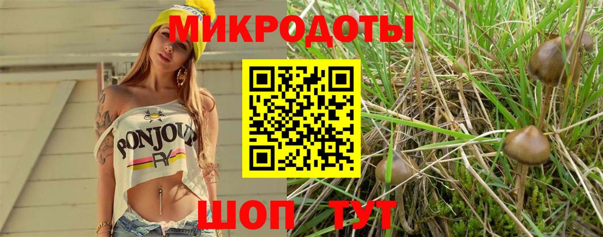 Галлюциногенные грибы мухоморы Куйбышев